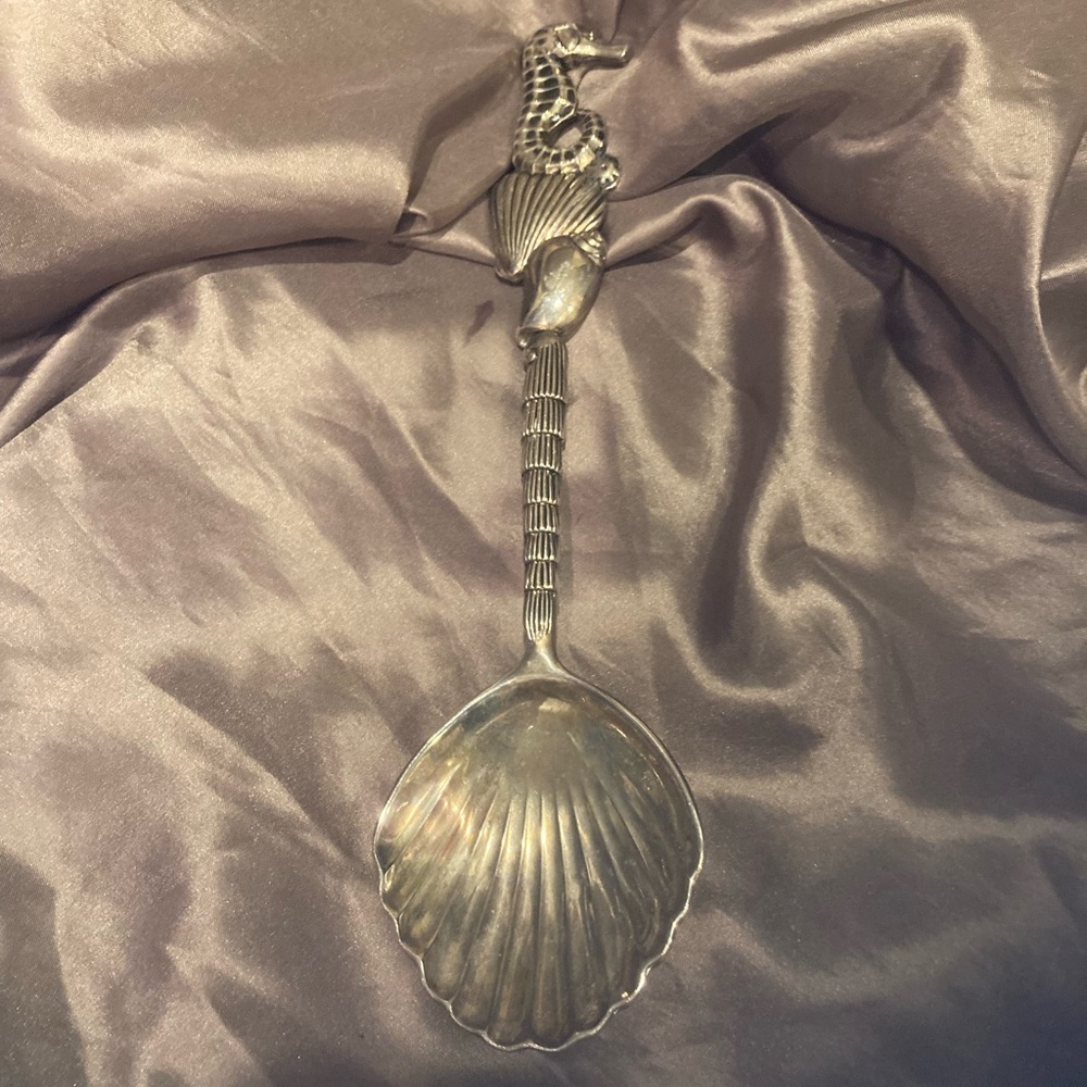 🐞Large spoon